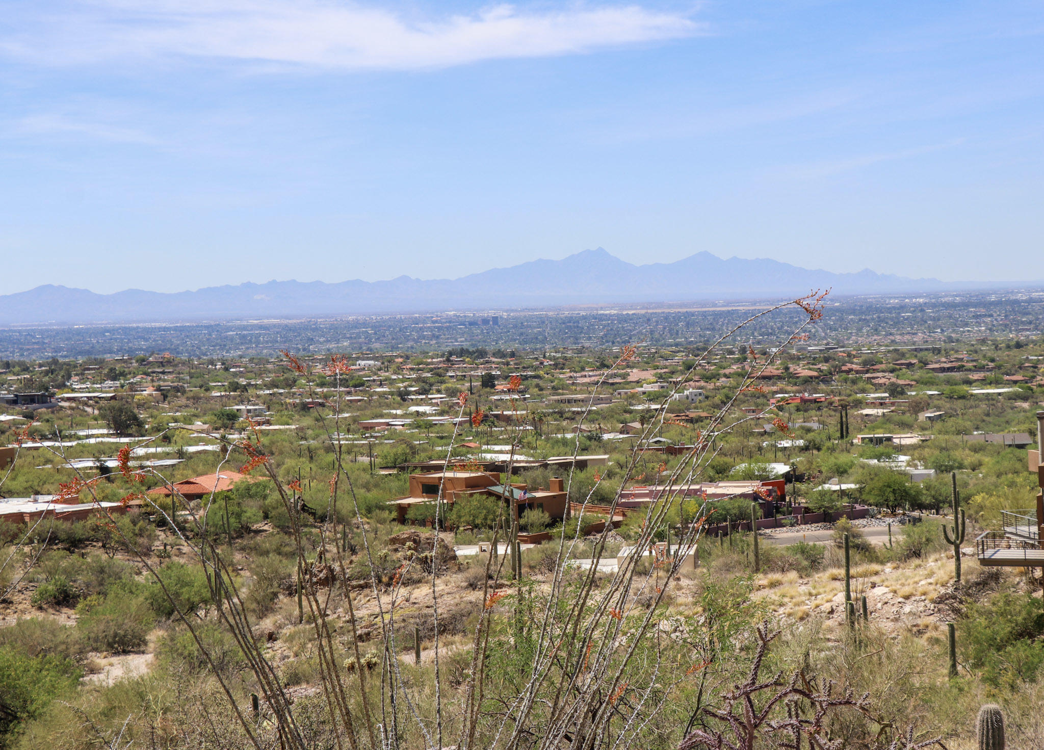 4501 East Ina Road Tucson, AZ 85718 - Photo 3 of 21 Gallery Image 3