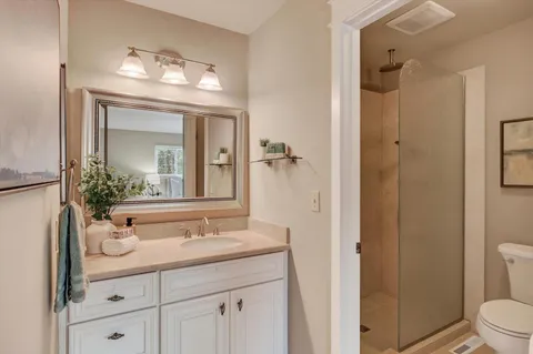 a bathroom with a sink a toilet and a large mirror