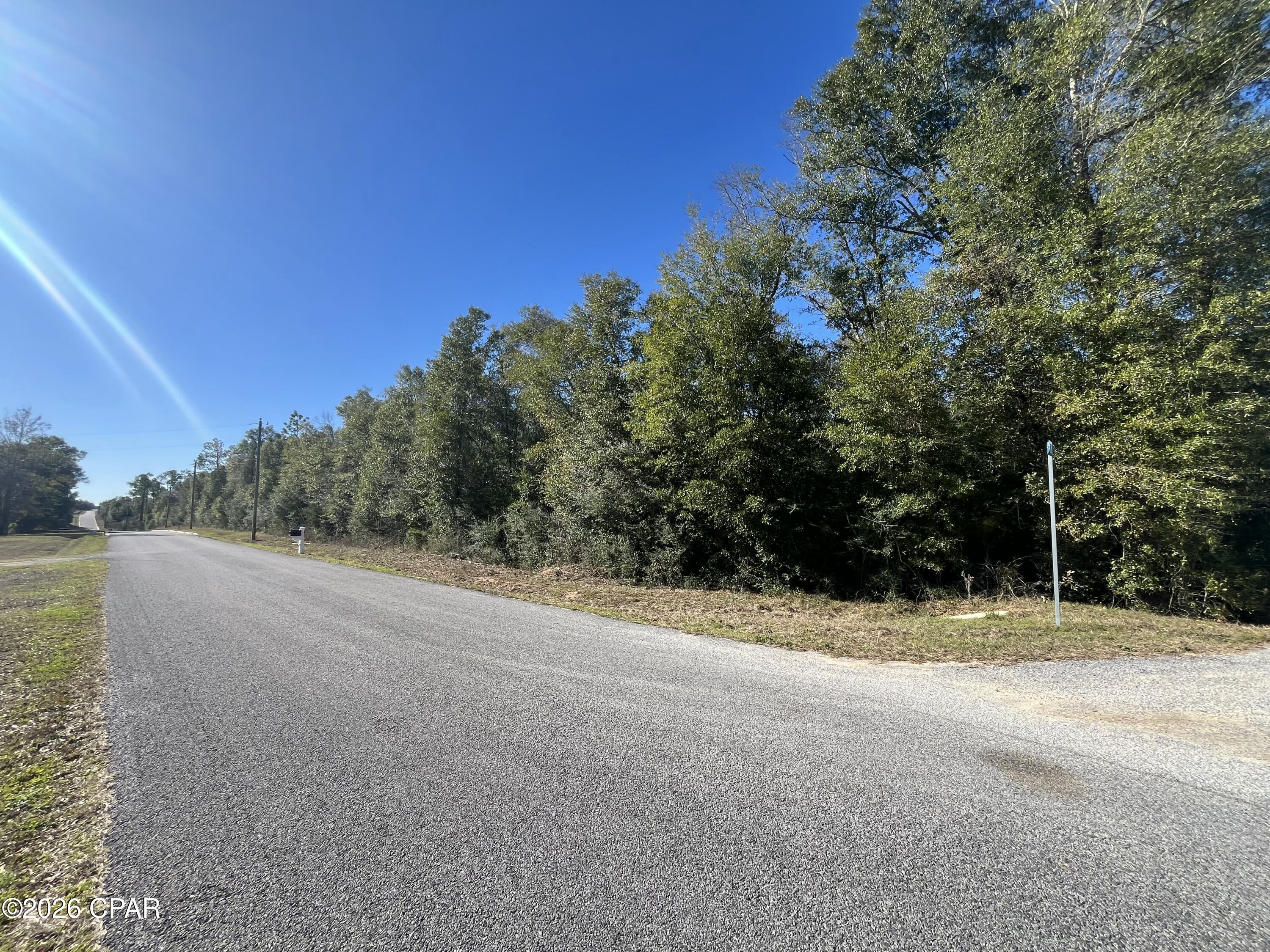 Xxx Sweetwater Branch Road Fountain, FL 32438 - Photo 2 of 3