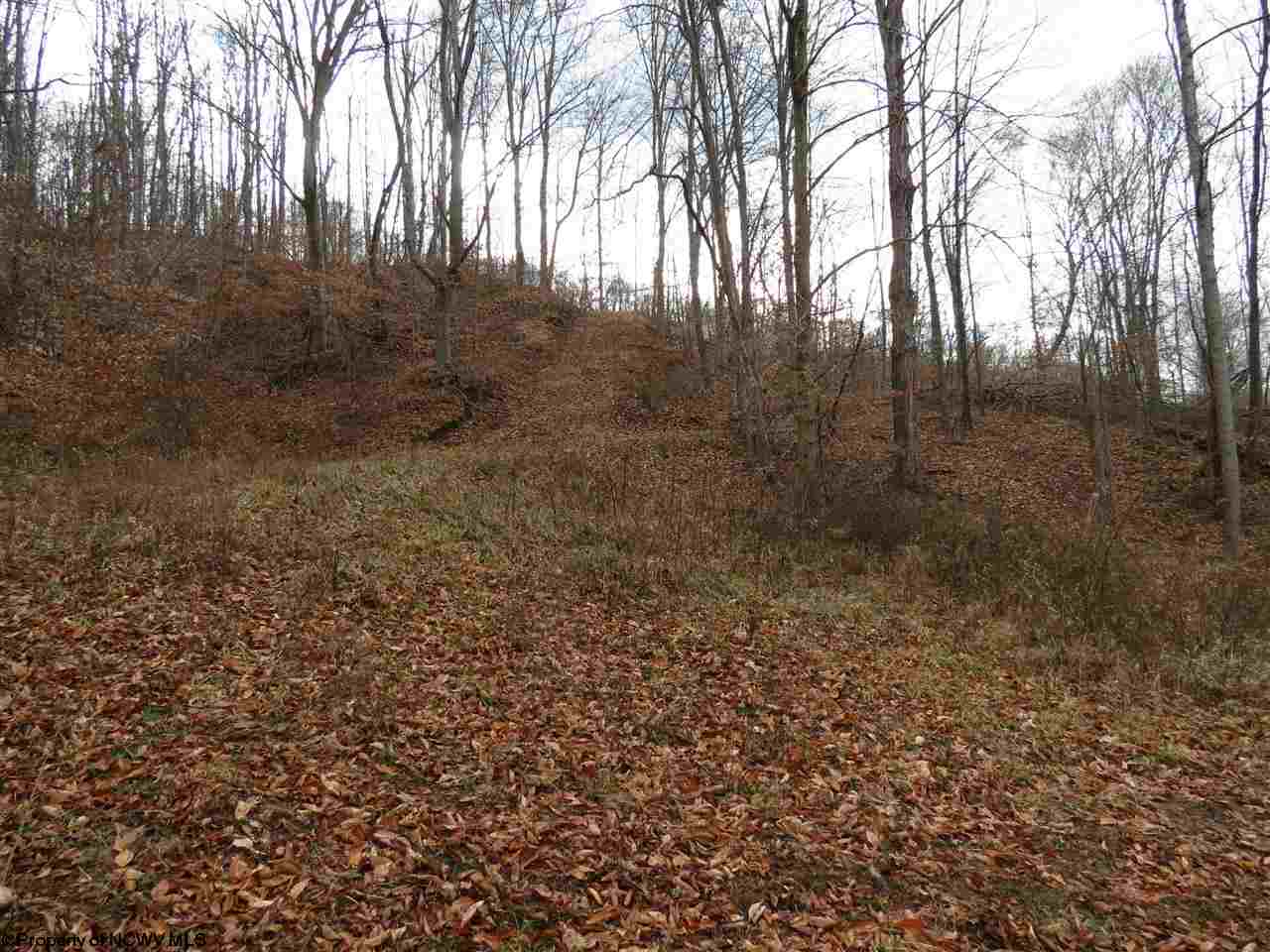 8000 Clay Road Looneyville, WV 25259 - Photo 4 of 7 Gallery Image 4