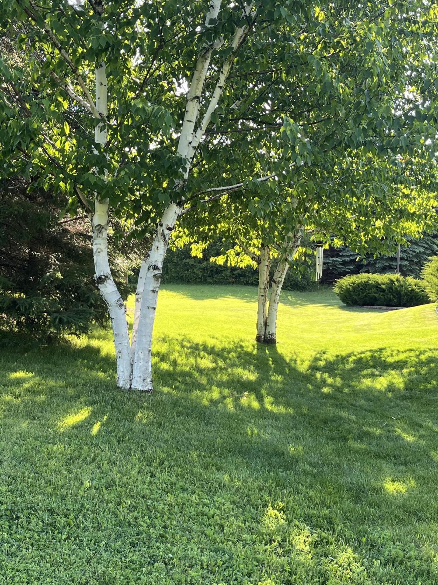 11105 Meadow Ridge Road Whitelaw, WI 54247 - Photo 118 of 126 Yard View 5