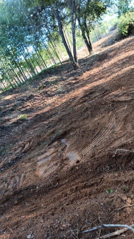 968 Red Town Road Elgin, TX 78621 - Photo 29 of 36