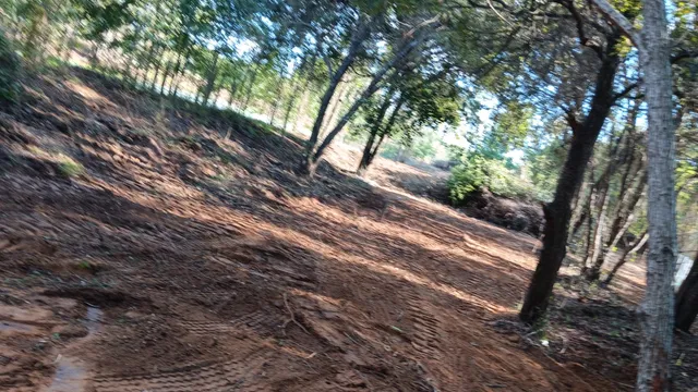 $329,990 | 968 Red Town Road, Elgin, TX 78621