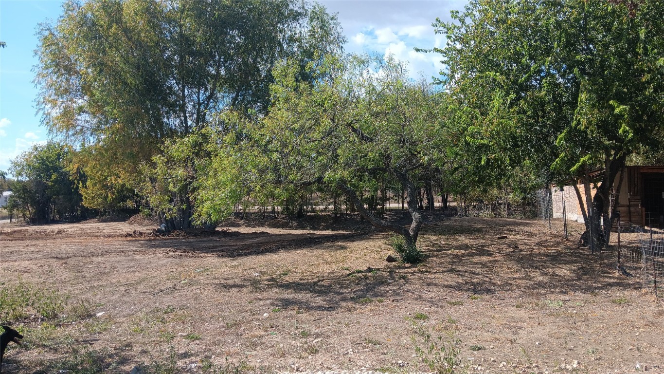 968 Red Town Road Elgin, TX 78621 - Photo 34 of 36 View of nature