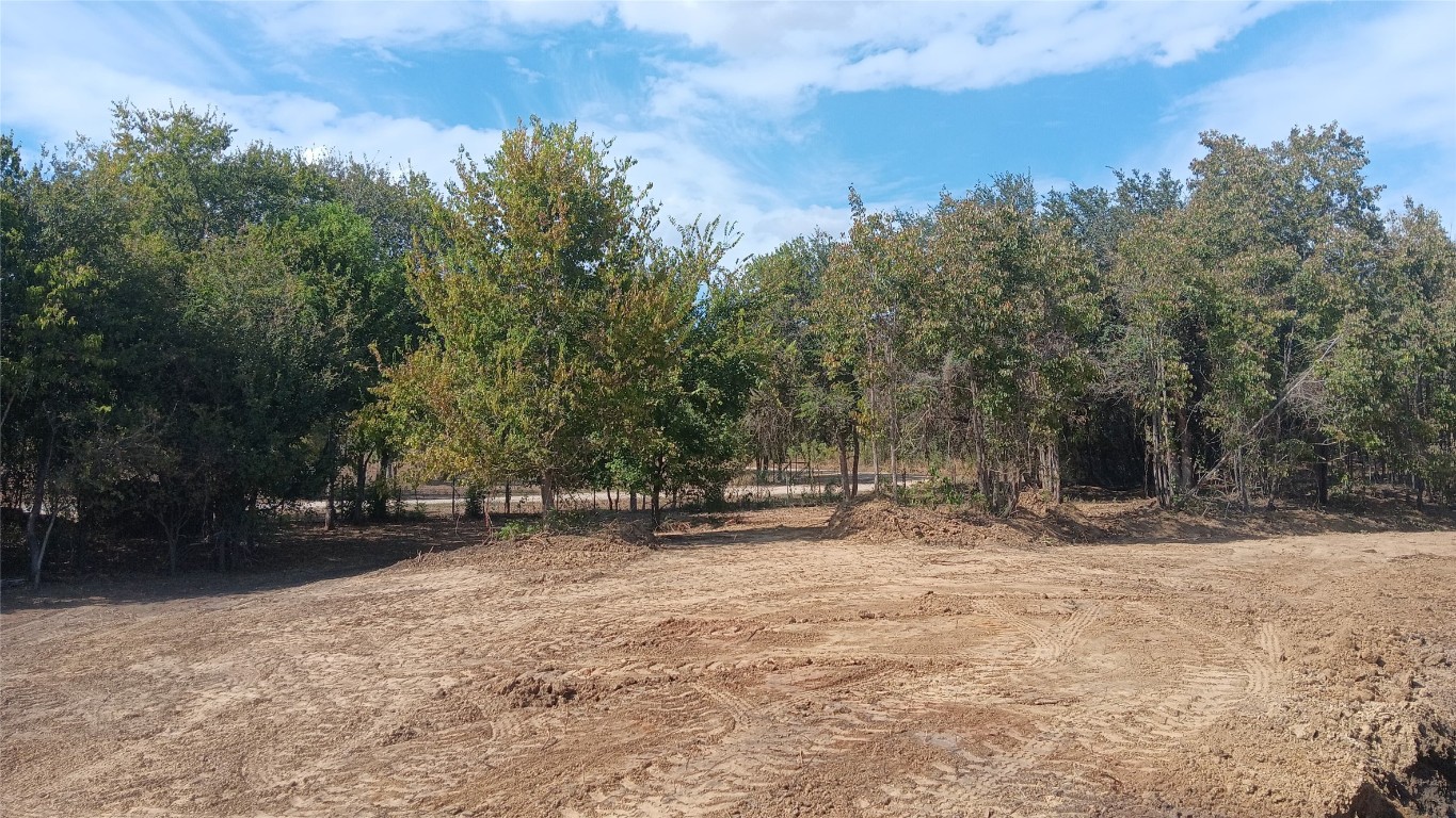 968 Red Town Road Elgin, TX 78621 - Photo 35 of 36 View of yard