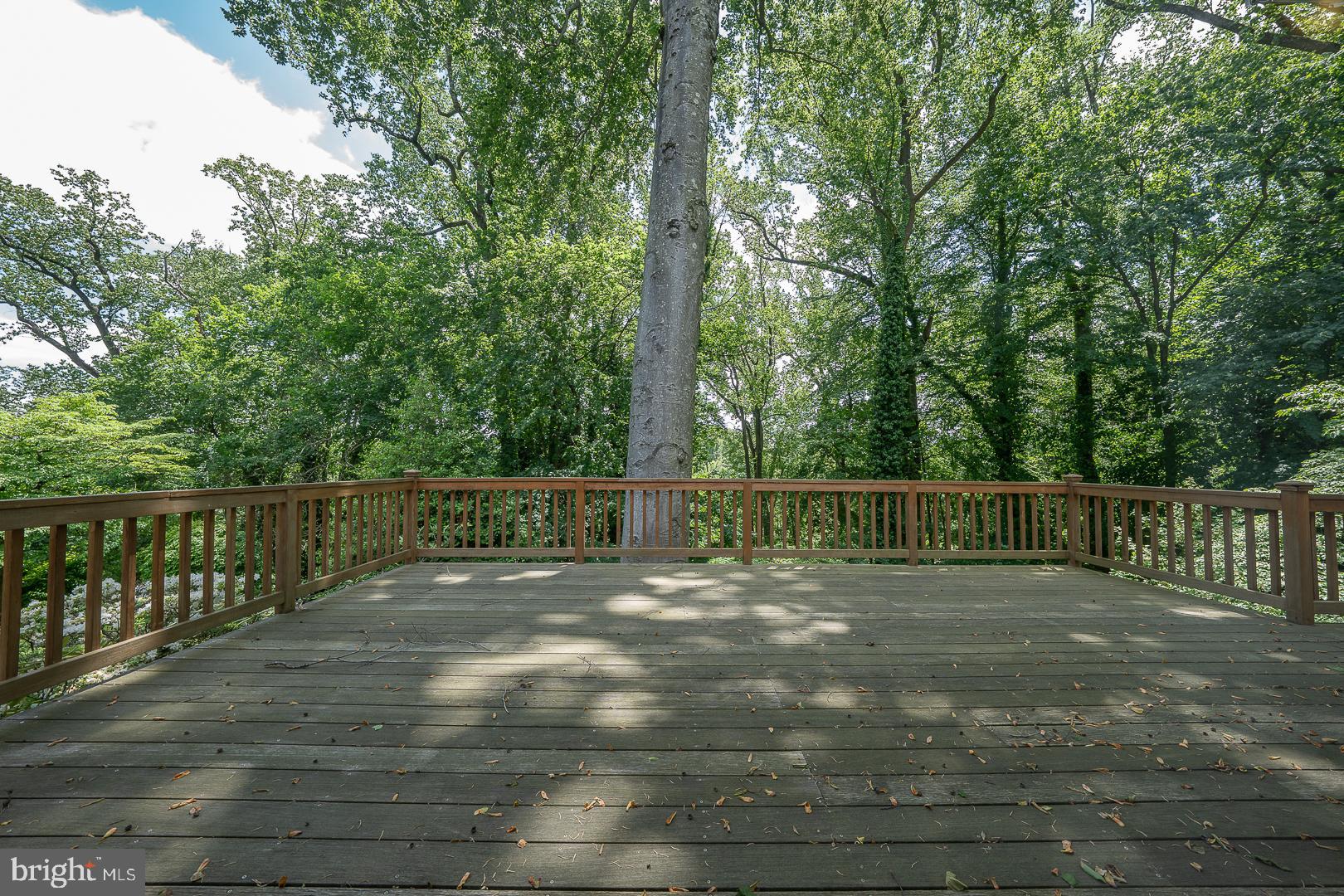 1109 Brynlawn Road Villanova, PA 19085 - Photo 17 of 93 Both bedroom and den access raised deck