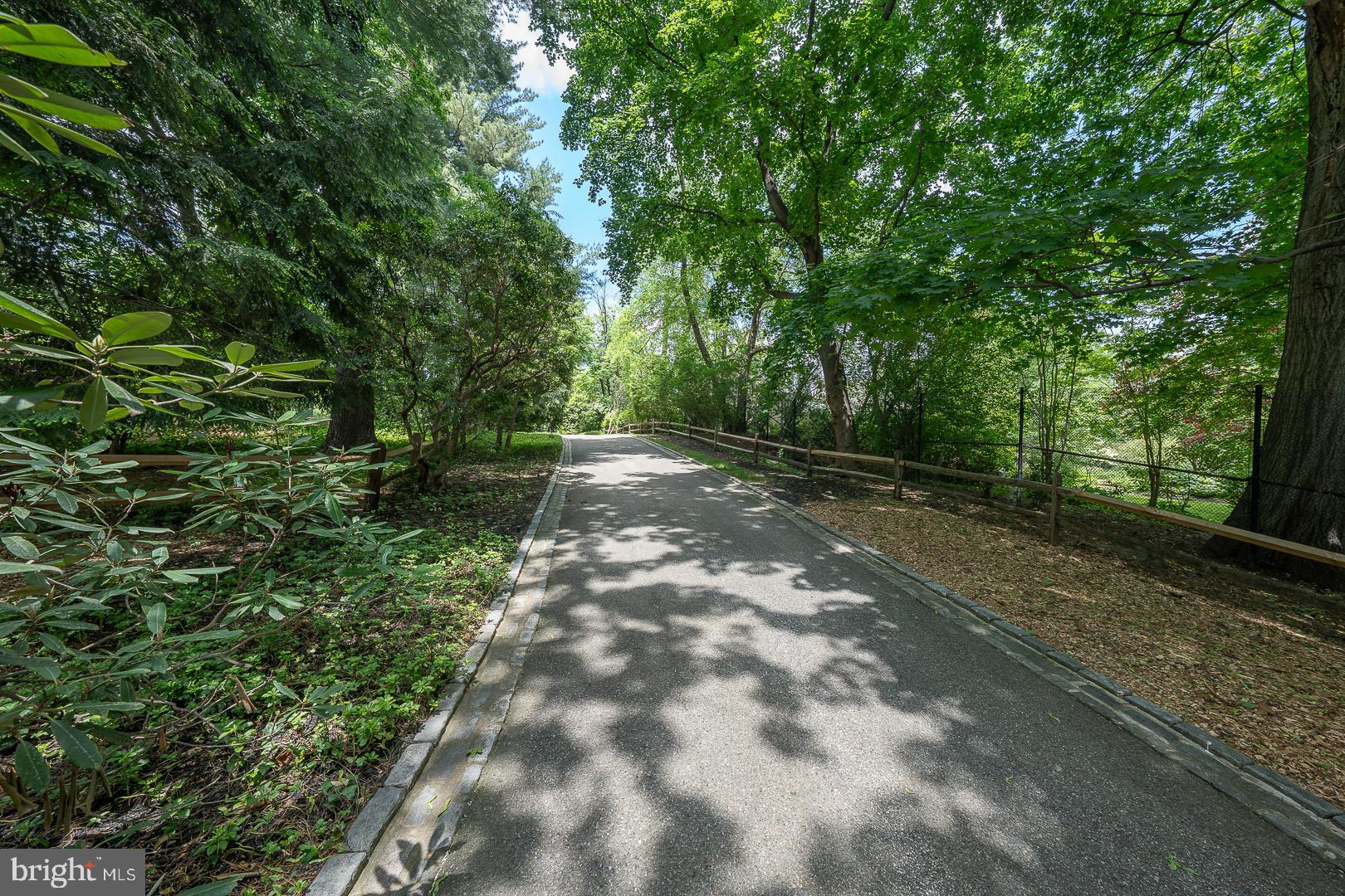 1109 Brynlawn Road Villanova, PA 19085 - Photo 2 of 93 Tree lined private drive and approach