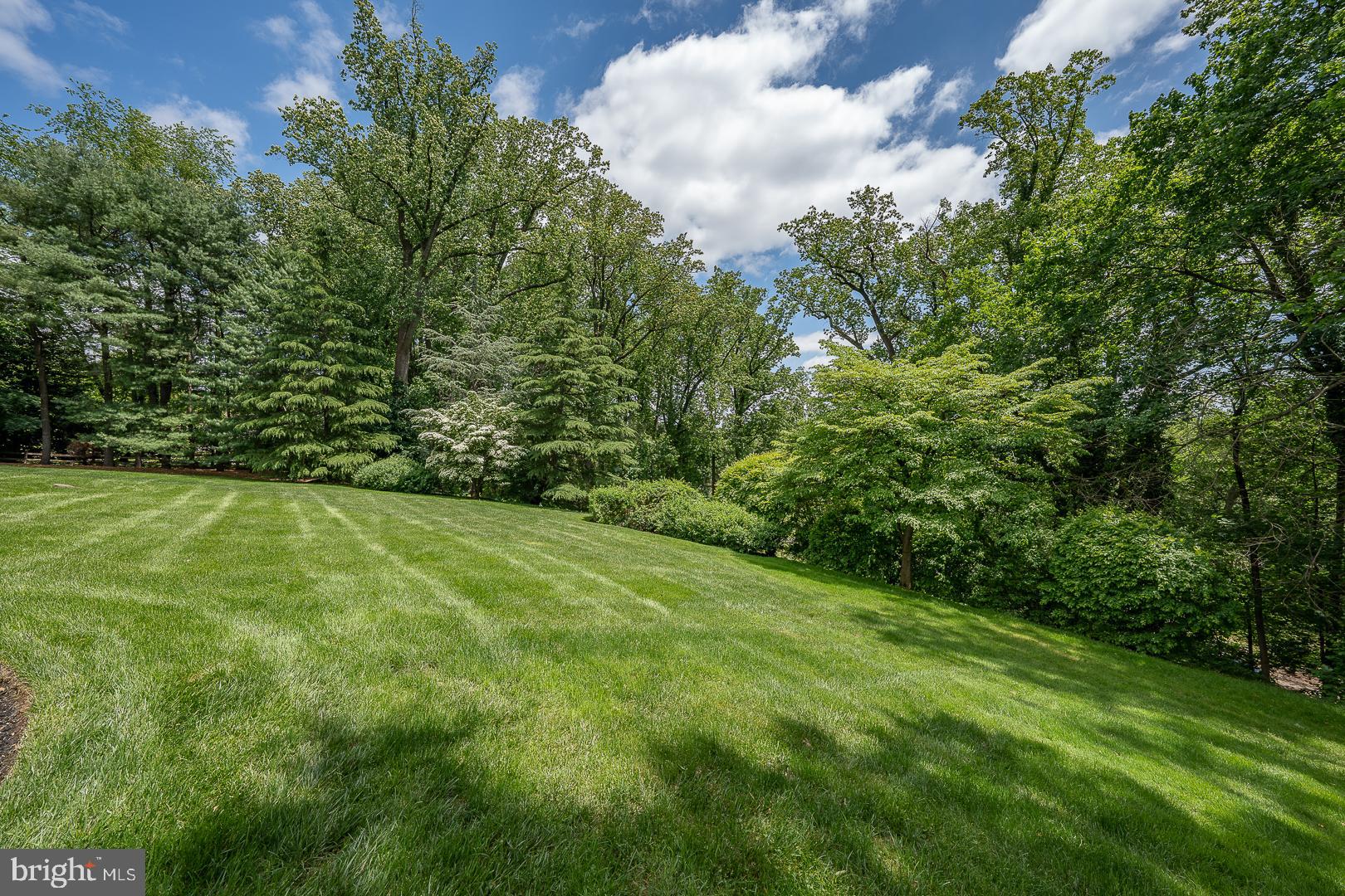 1109 Brynlawn Road Villanova, PA 19085 - Photo 10 of 93 Sweeping lawns