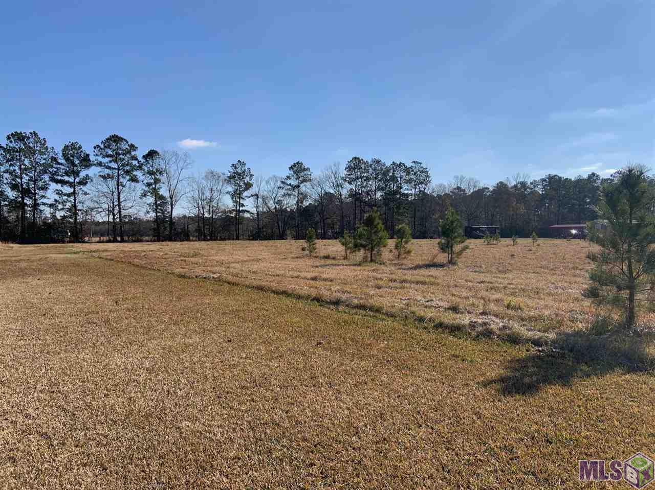 Tbd Pine Alley Road Springfield, LA 70462 - Photo 2 of 3
