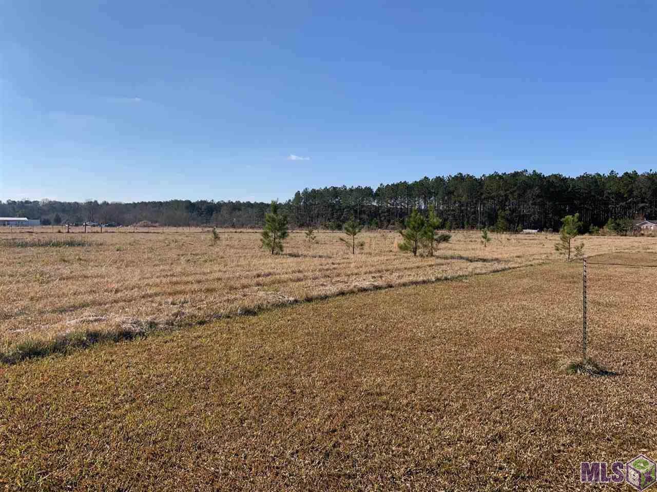 Tbd Pine Alley Road Springfield, LA 70462 - Photo 3 of 3
