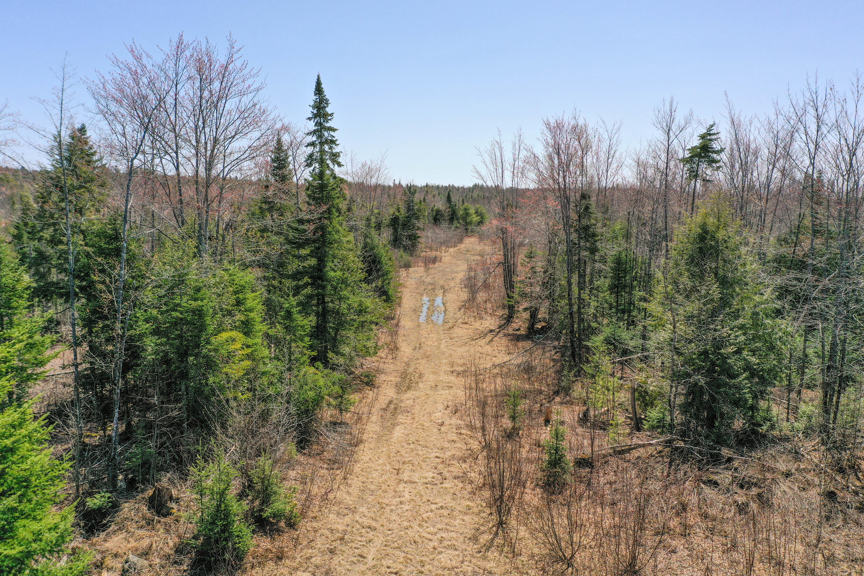 Lot 061 Worthen Road Corinna, ME 04928 - Photo 7 of 12 DJI_0531