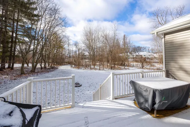 $619,000 | 418 1/2 Wilkinson Street, Chelsea, MI 48118