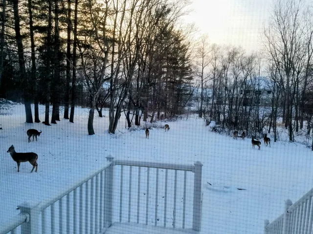 $619,000 | 418 1/2 Wilkinson Street, Chelsea, MI 48118