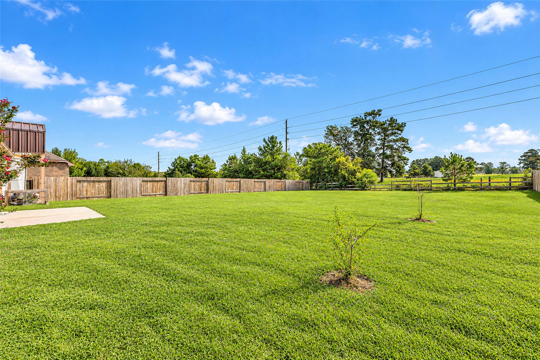 18803 Maverick Ranch Road East Magnolia, TX 77355 - Photo 28 of 34 Gallery Image 28