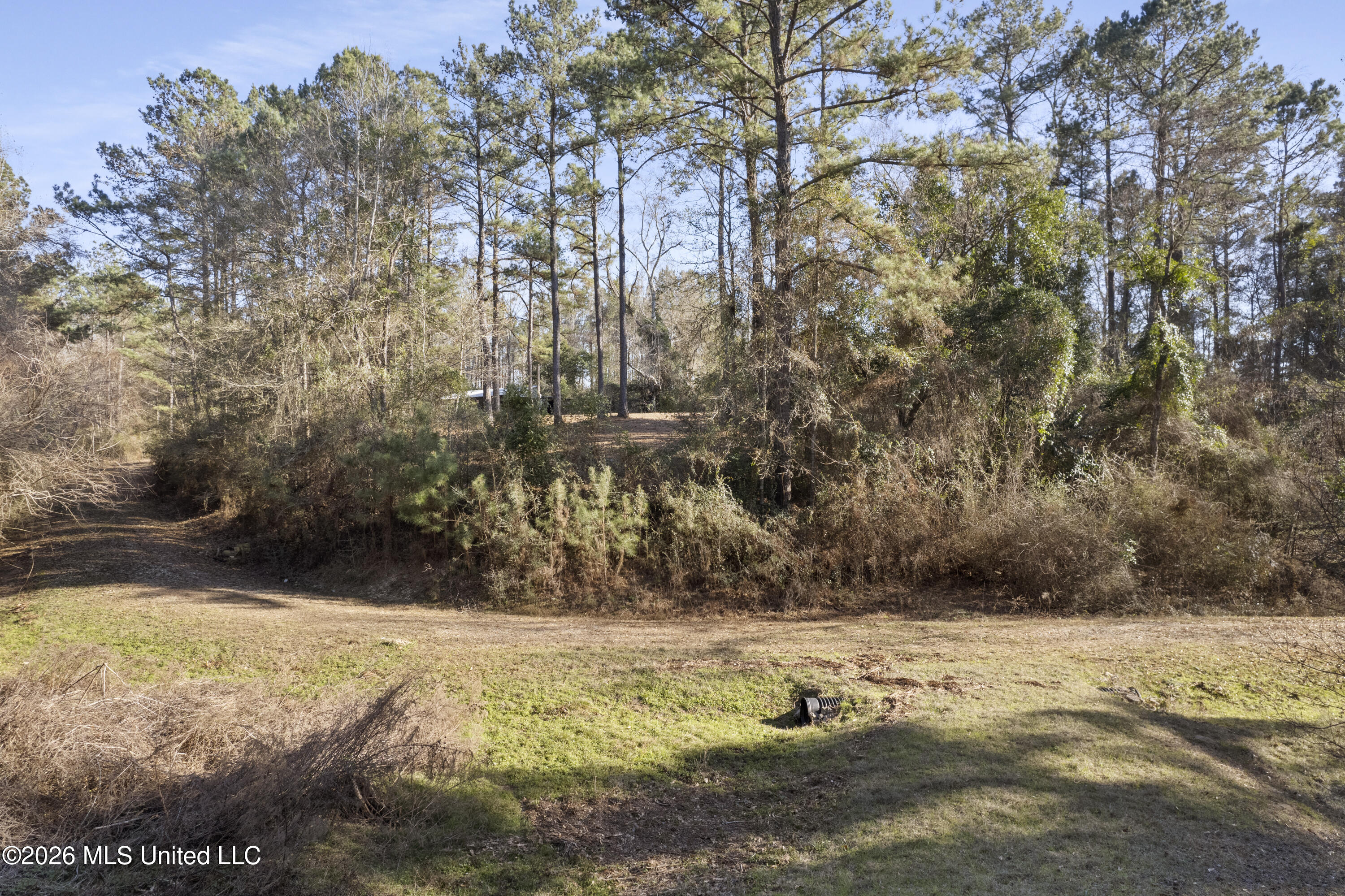 144 Corinth Road Petal, MS 39465 - Photo 10 of 16 Multiple Home Sites