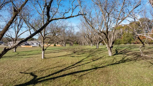 a view of backyard of the house