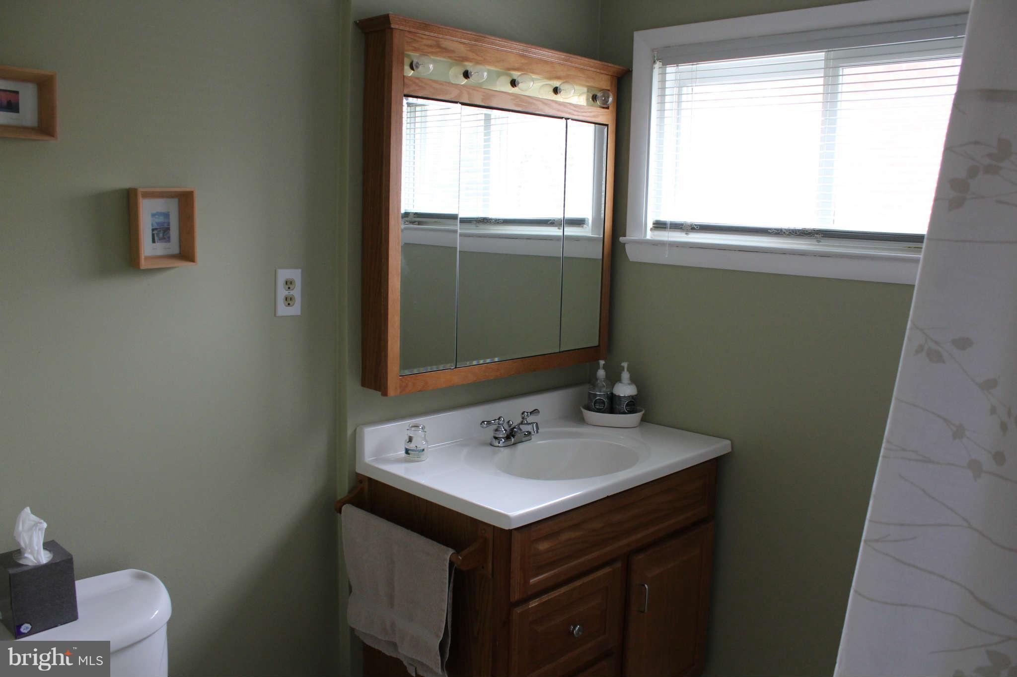 910 Rappaix Court Baltimore, MD 21286 - Photo 8 of 16 Bath #1 First Floor