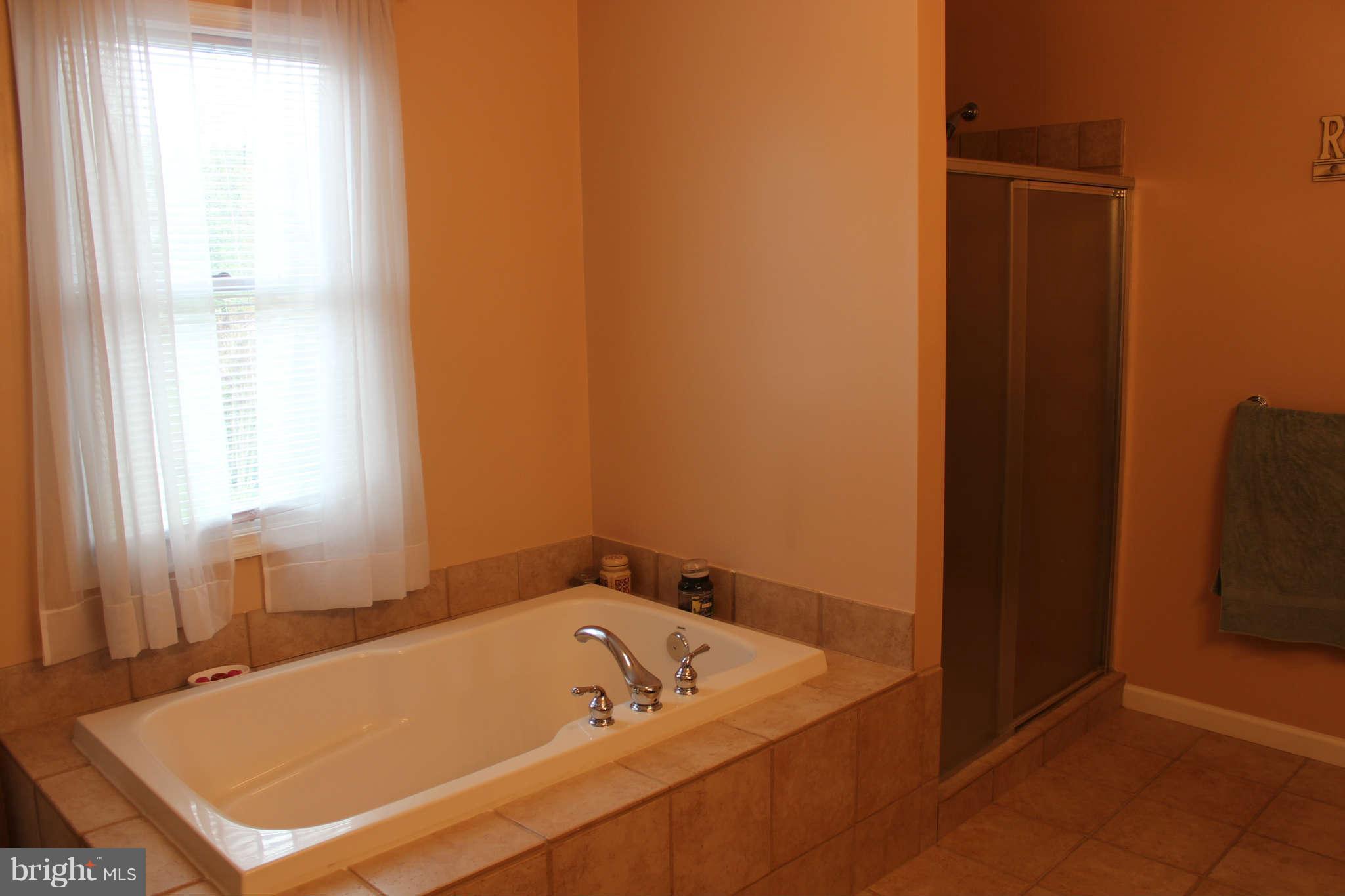 910 Rappaix Court Baltimore, MD 21286 - Photo 10 of 16 Bath (Master)