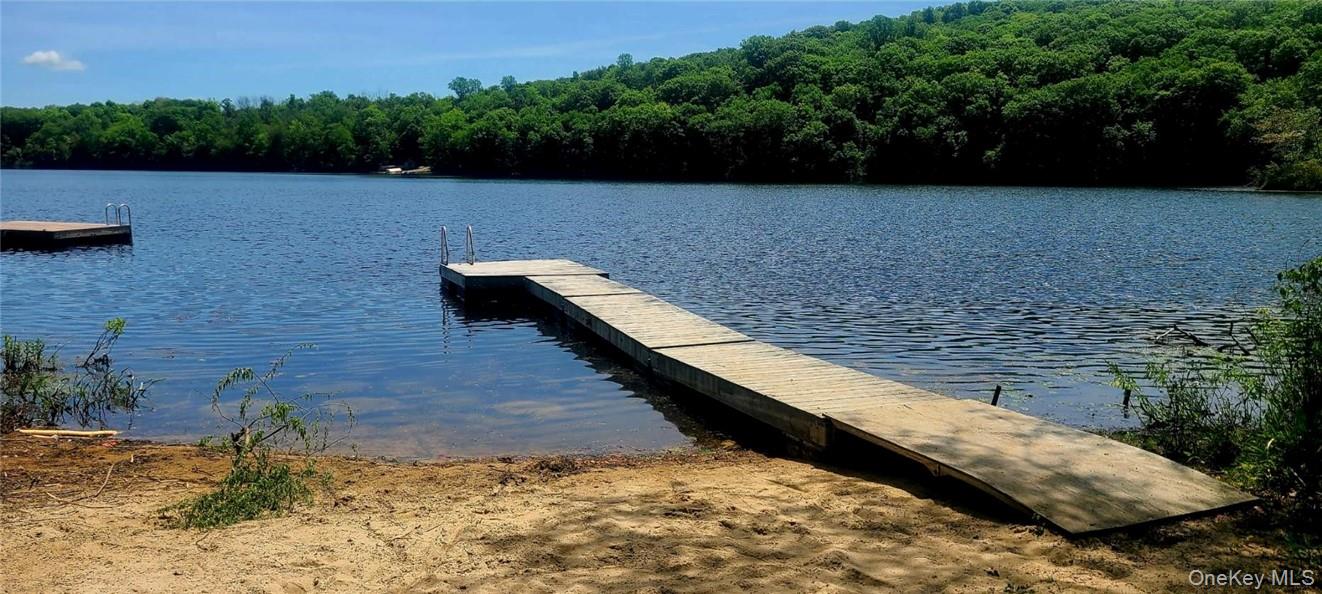 11 Curry Road Mahopac, NY 10541 - Photo 19 of 25 Dock area featuring a water view