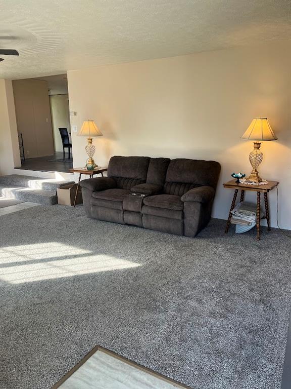 272 Duff Street Bobtown, PA 15315 - Photo 18 of 26 a living room with furniture and a lamp