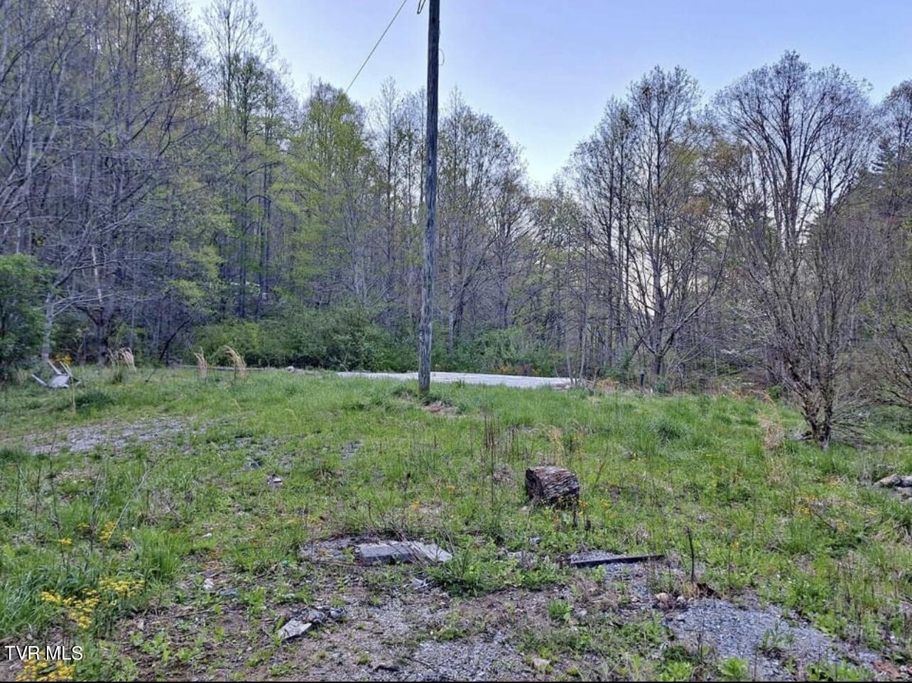 9522 Short Hollow Road Pound, VA 24279 - Photo 1 of 5 IMG_8895