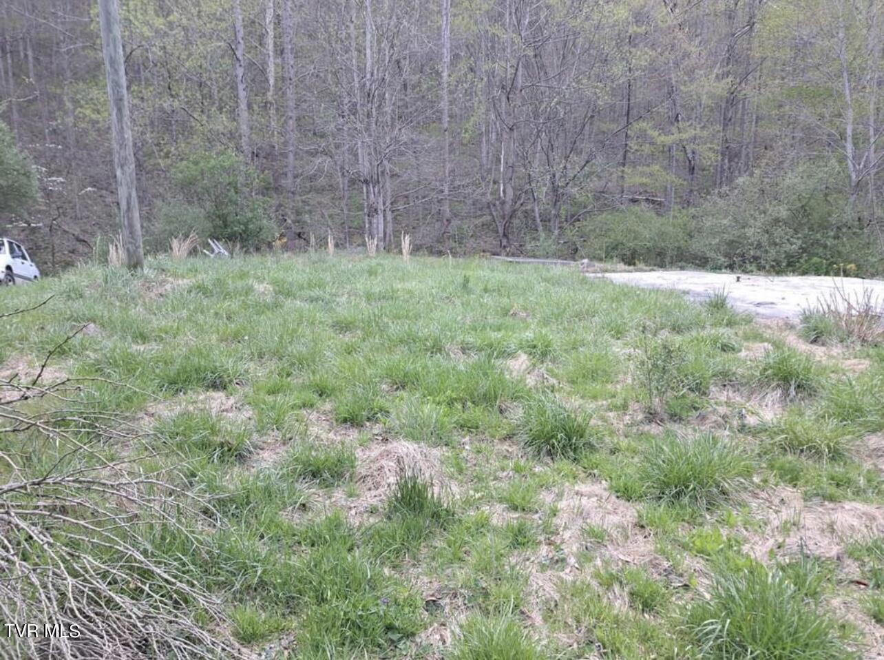 9522 Short Hollow Road Pound, VA 24279 - Photo 3 of 5 IMG_8897