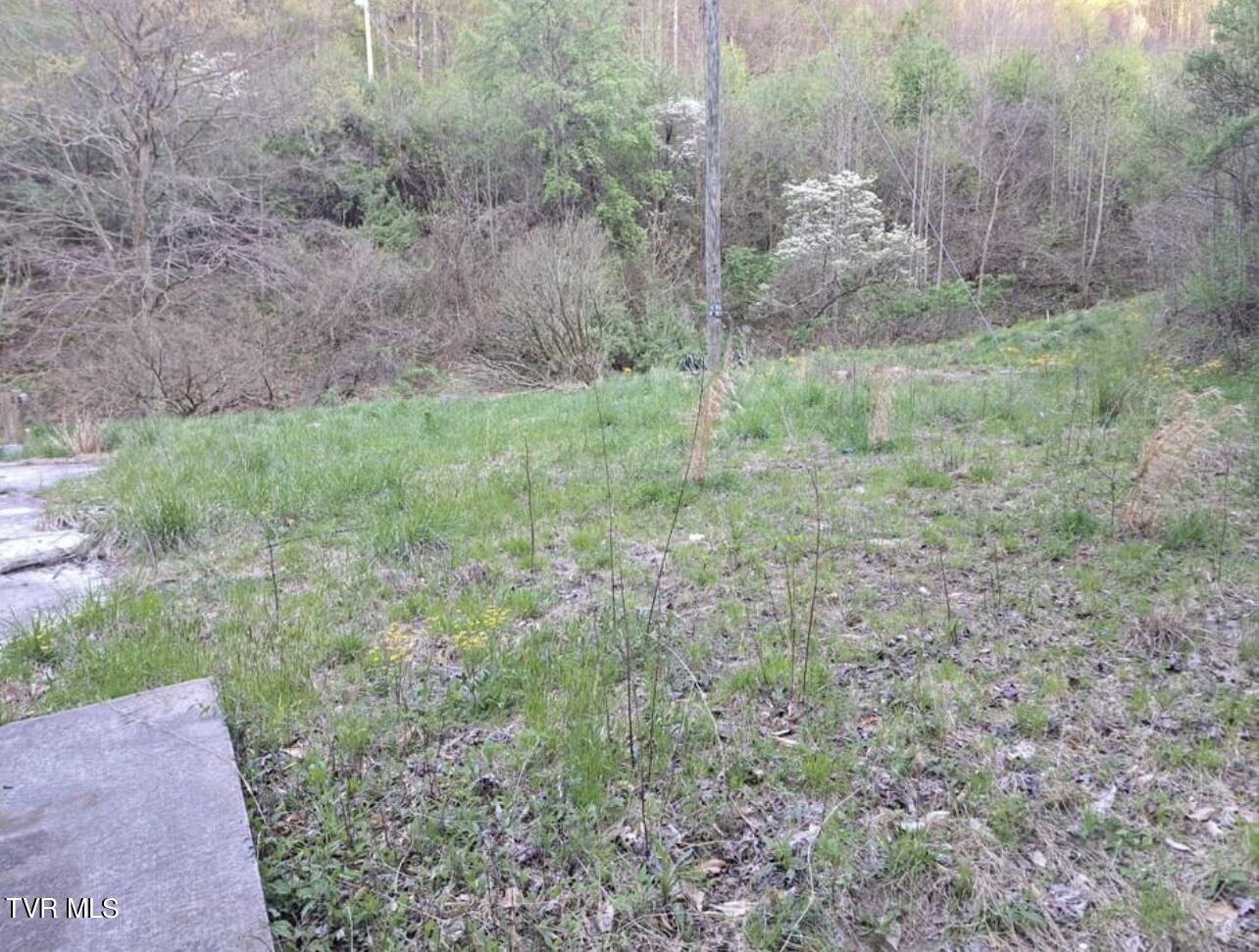 9522 Short Hollow Road Pound, VA 24279 - Photo 5 of 5 IMG_8899
