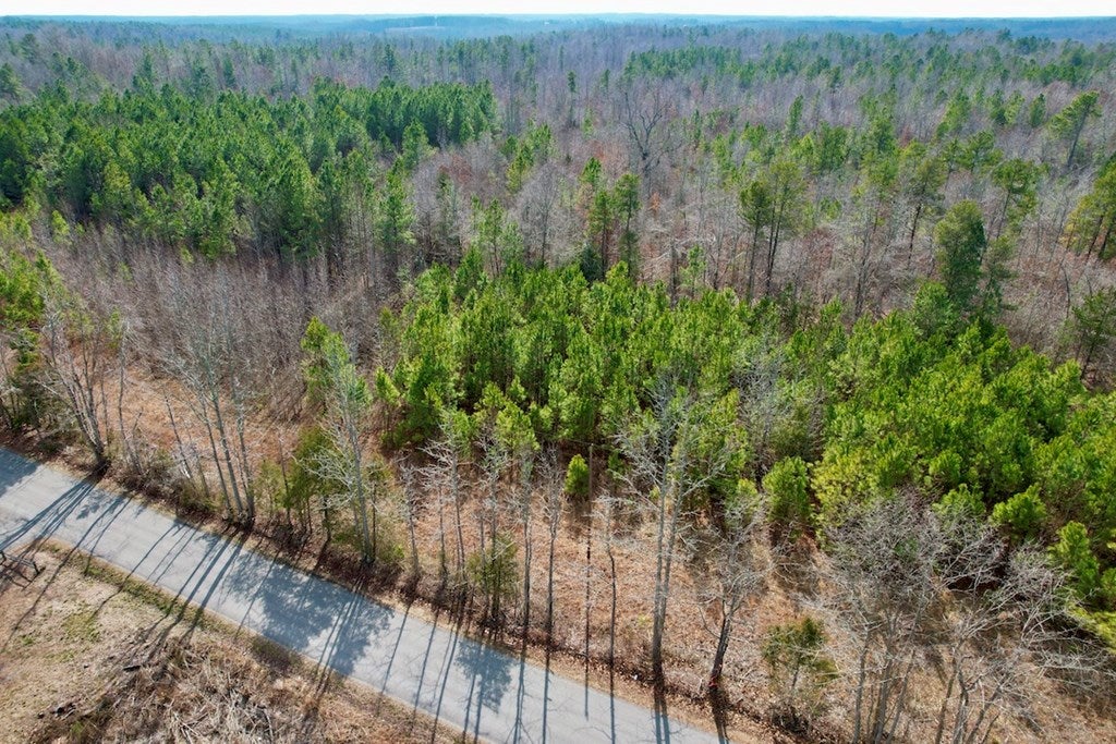 650 Schutt Road Burkeville, VA 23922 - Photo 4 of 48 Gallery Image 4