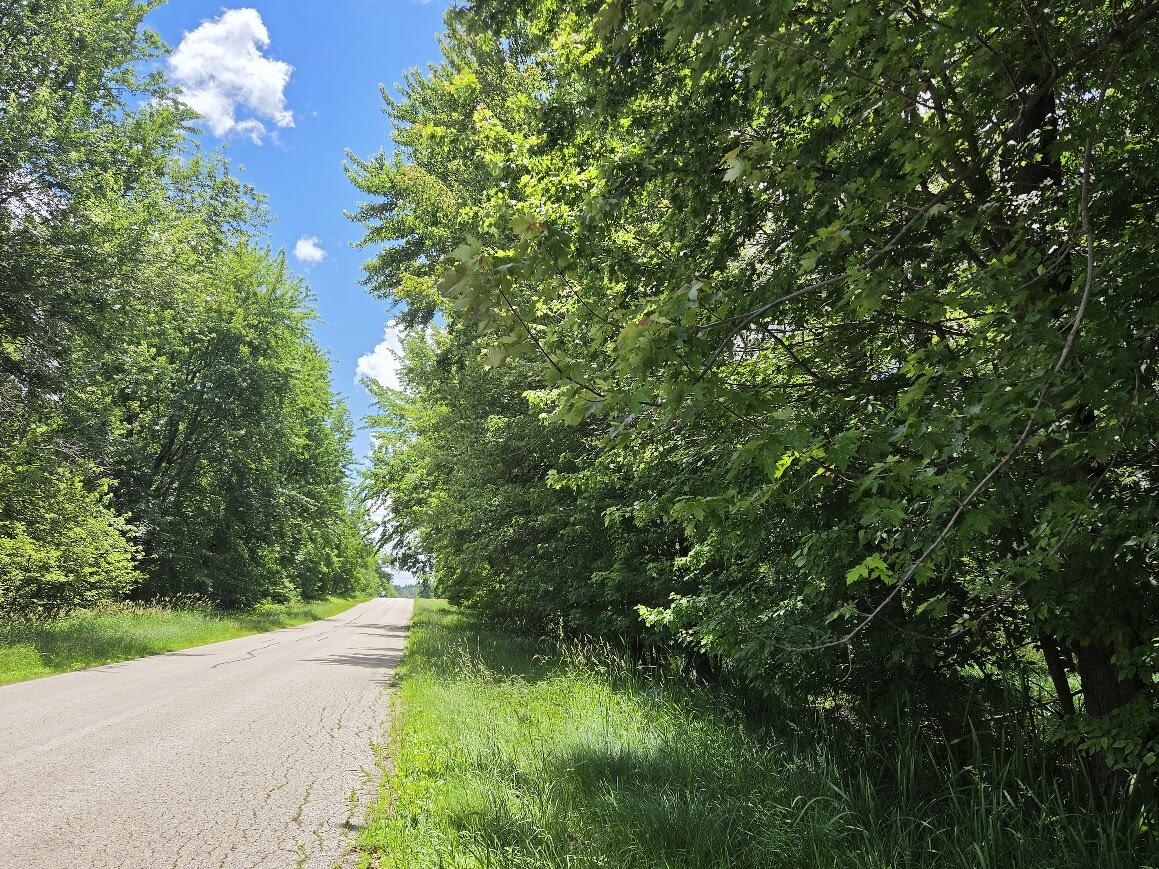 1 Tamarack Road Brillion, WI 54110 - Photo 15 of 18 View down the road