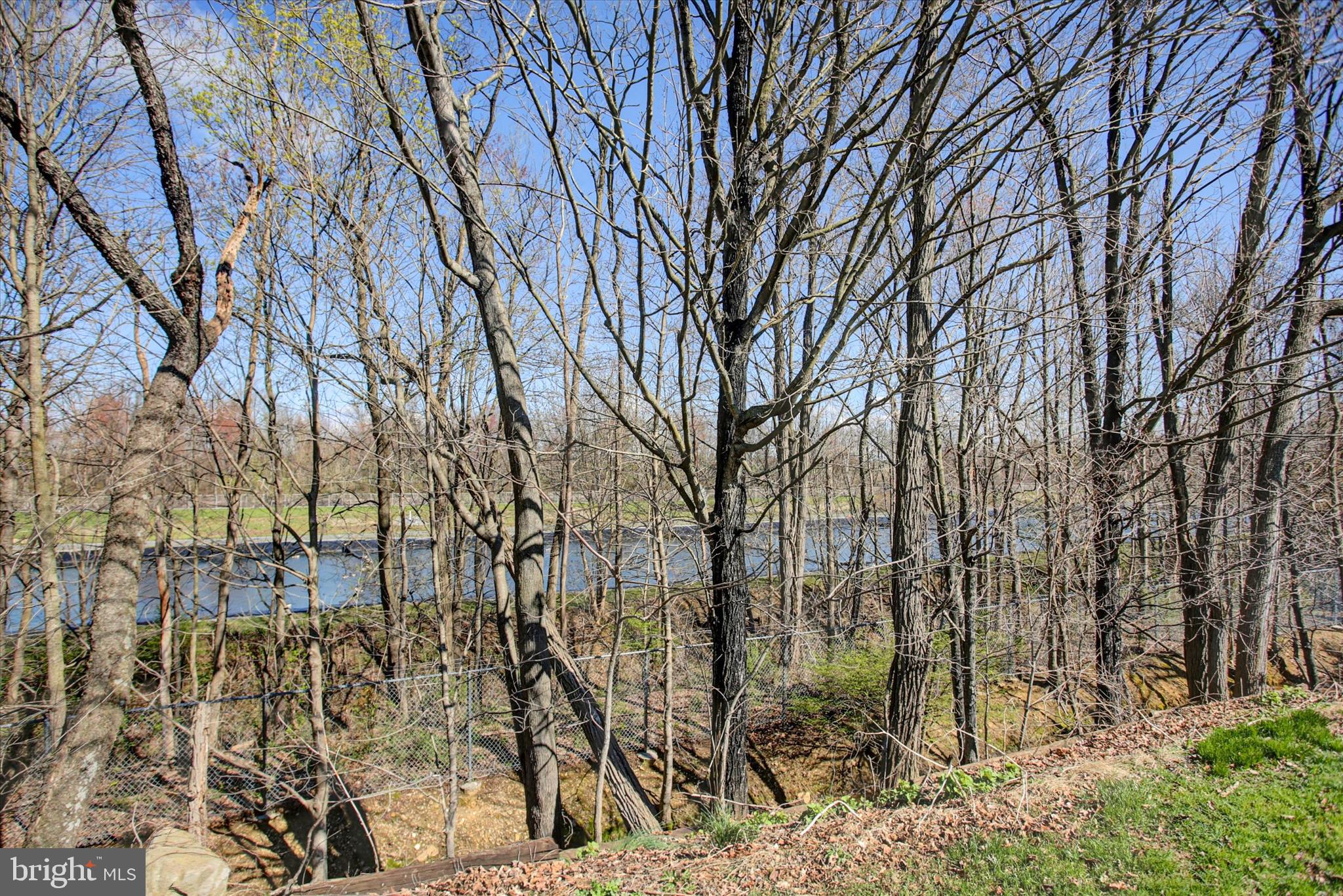 1611 Pine Road Carlisle, PA 17015 - Photo 43 of 45 a backyard of a house with lots of green space