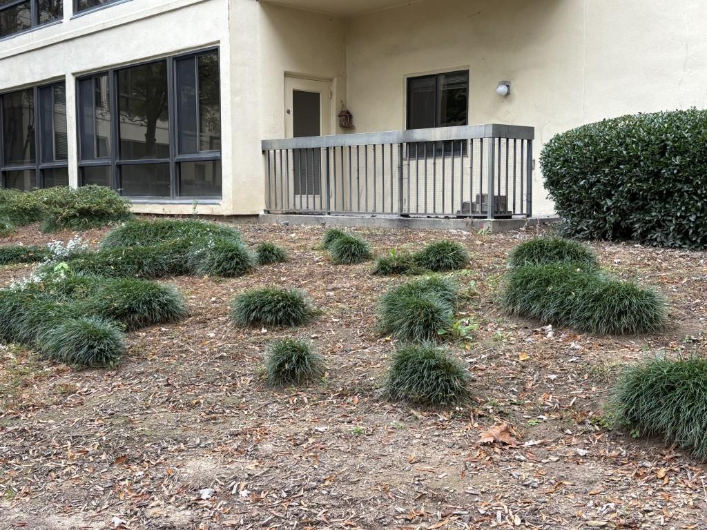 1800 Clairmont Lake, Unit 124 Decatur, GA 30033 - Photo 19 of 22 a view of backyard with deck and garden