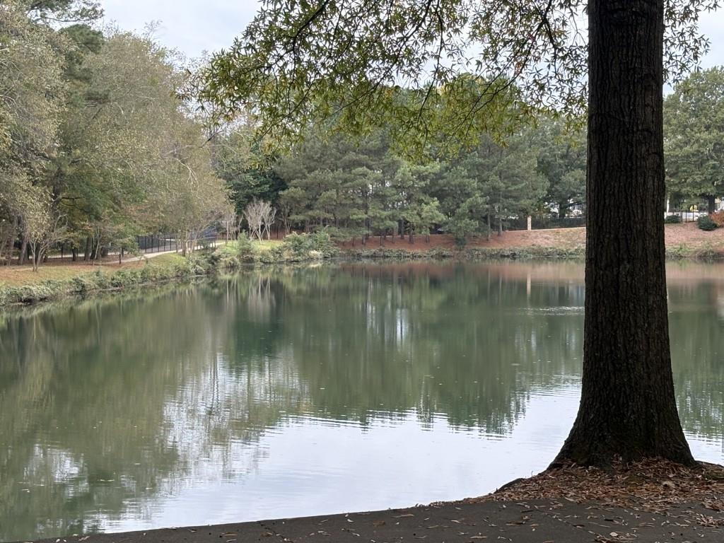 1800 Clairmont Lake, Unit 124 Decatur, GA 30033 - Photo 21 of 22 a view of a lake view