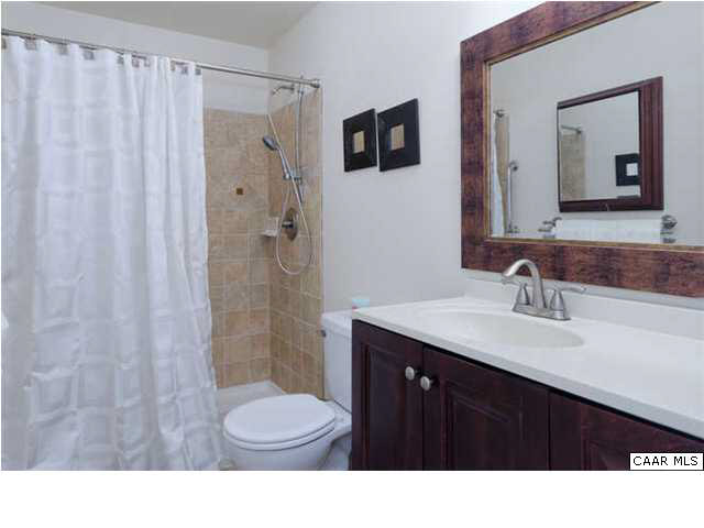 23 Stonefield Road Palmyra, VA 22963 - Photo 31 of 32 a bathroom with a sink a toilet a shower and a mirror