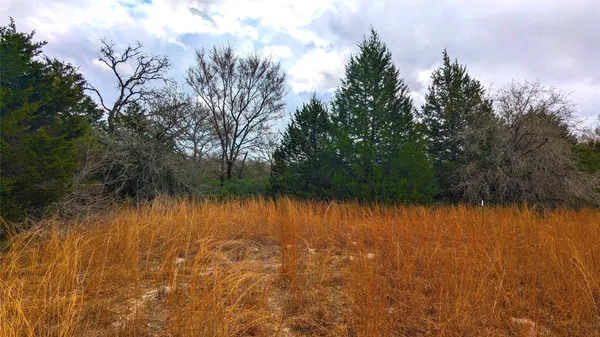 a view of backyard with green space