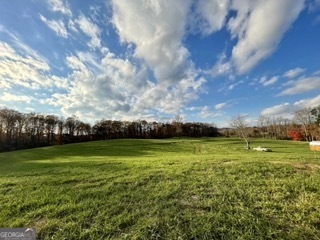 8787 Campground Road Clermont, GA 30527 - Photo 1 of 1 Gallery Image 1