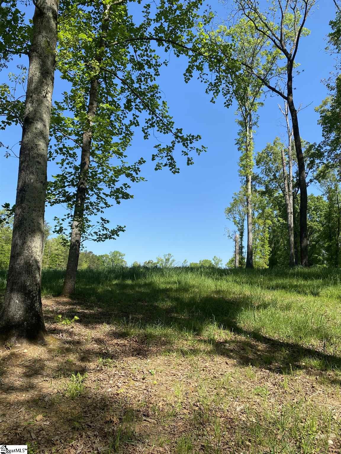 0 Clyde Road, Unit TRACT 5 Fountain Inn, SC 29644 - Photo 3 of 5