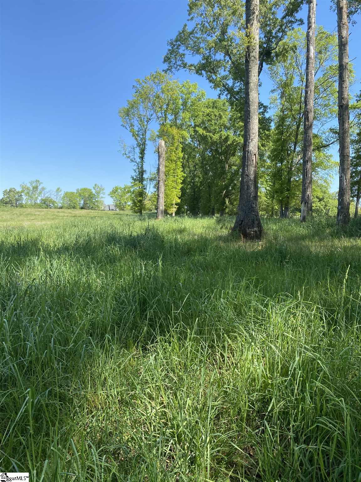 0 Clyde Road, Unit TRACT 5 Fountain Inn, SC 29644 - Photo 4 of 5