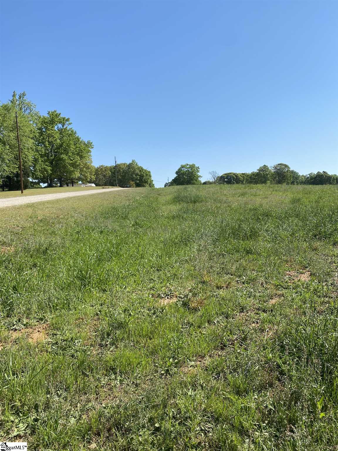 0 Clyde Road, Unit TRACT 5 Fountain Inn, SC 29644 - Photo 5 of 5