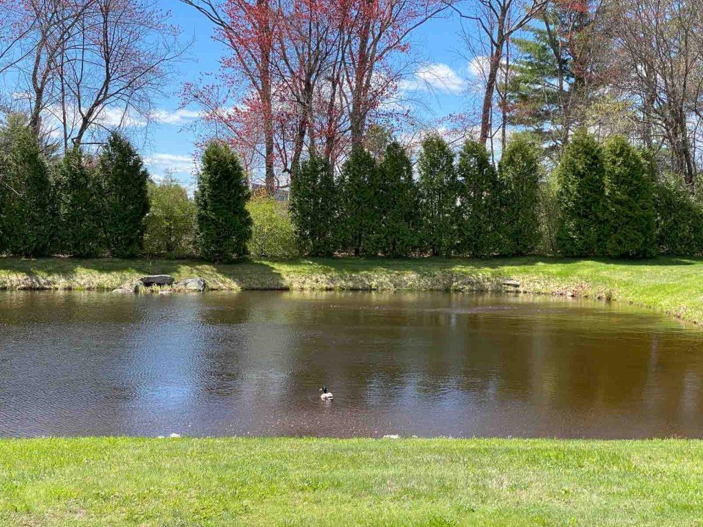 379 Huse Road, Unit 26 Manchester, NH 03103 - Photo 4 of 16