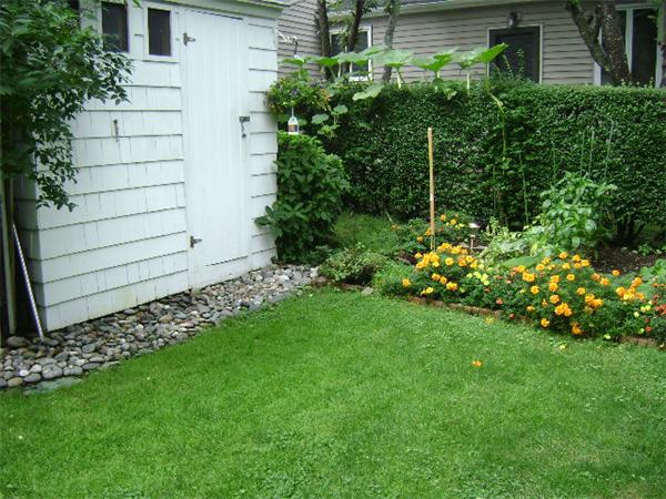 44 Sevinor Road Marblehead, MA 01945 - Photo 17 of 17 a view of a garden with flowers