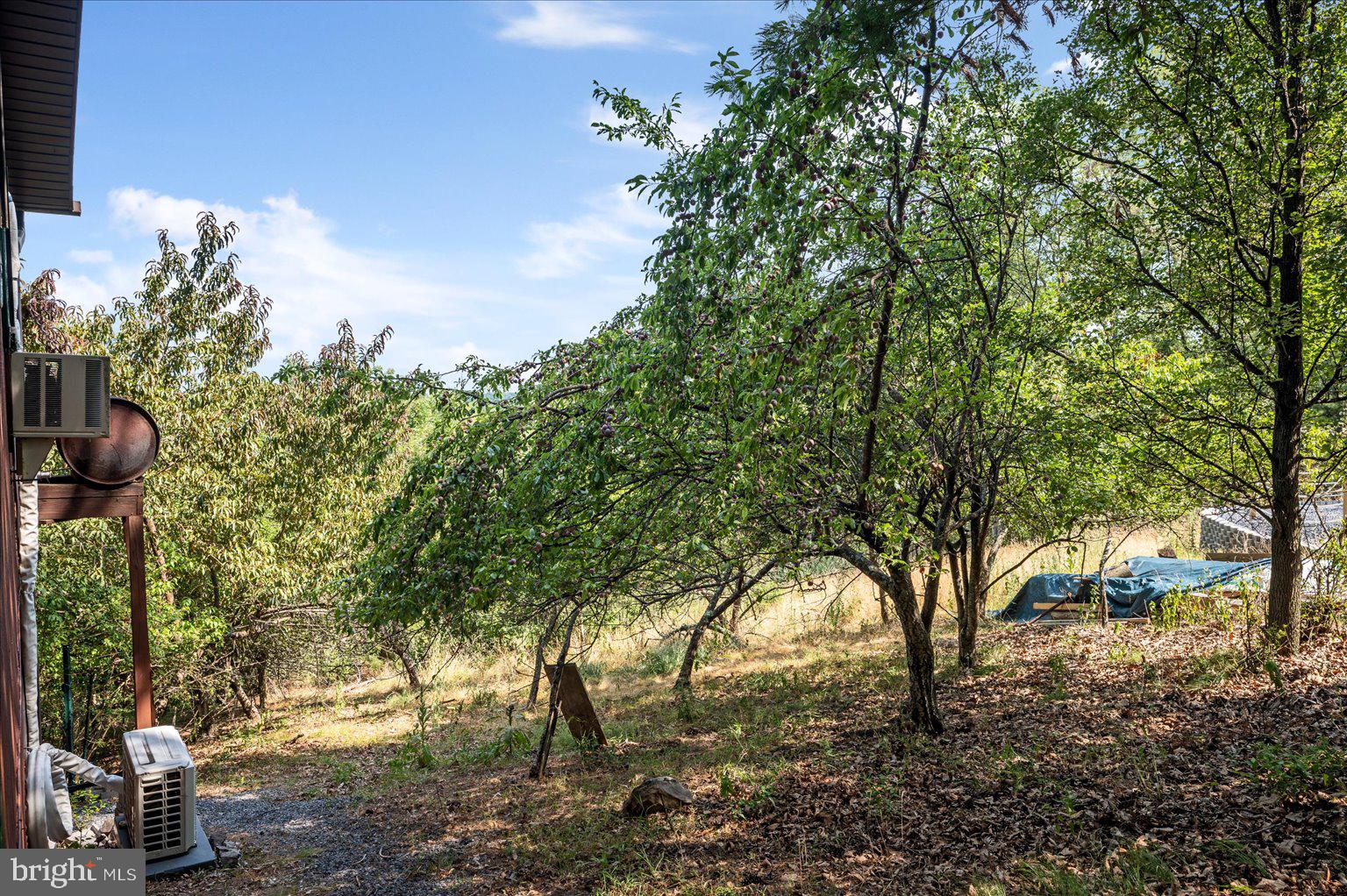 685 North Maple Road Mount Jackson, VA 22842 - Photo 47 of 64