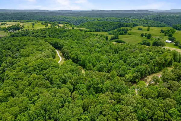 a view of a field with a tree