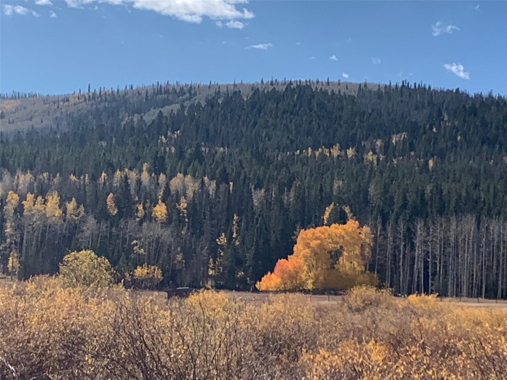 0 Springboard Trail Oak Creek, CO 80467 - Photo 2 of 11 a backyard of a house