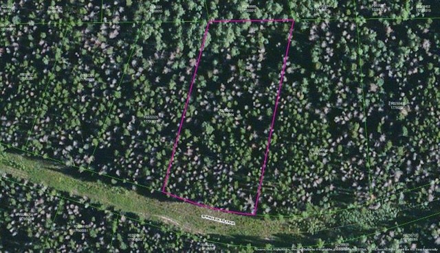 0 Springboard Trail Oak Creek, CO 80467 - Photo 6 of 11 a view of a garden