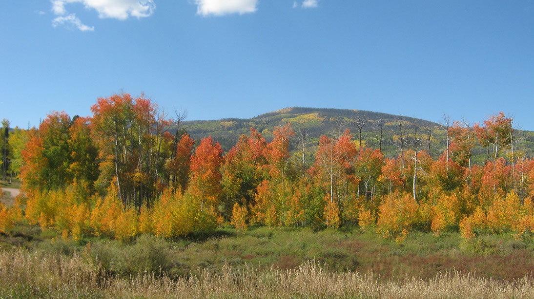 0 Springboard Trail Oak Creek, CO 80467 - Photo 7 of 11 a view of ocean view