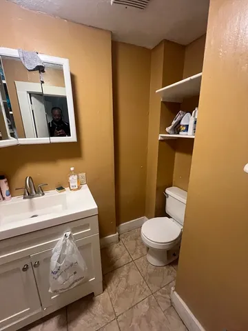 a bathroom with a sink and a toilet