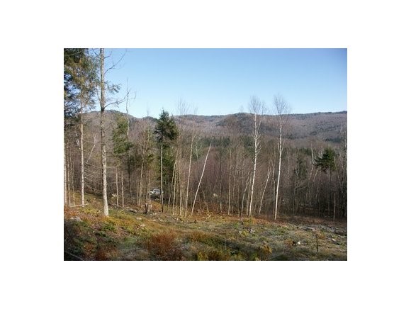 2604 Dowsville Road Duxbury, VT 05660 - Photo 1 of 1 Gallery Image 1