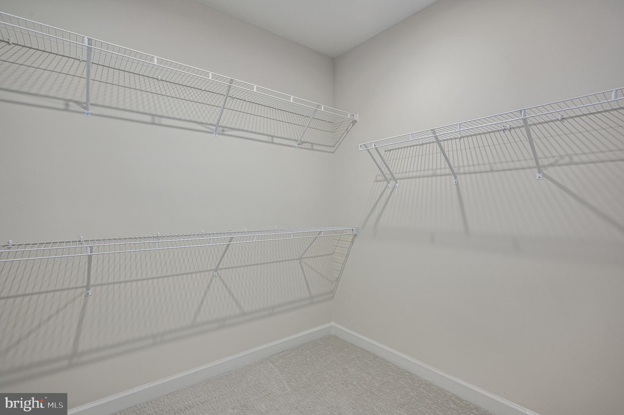 21894 Hawksbill High Circle, Unit 201 Sterling, VA 20164 - Photo 19 of 54 Huge Walk-in Closet