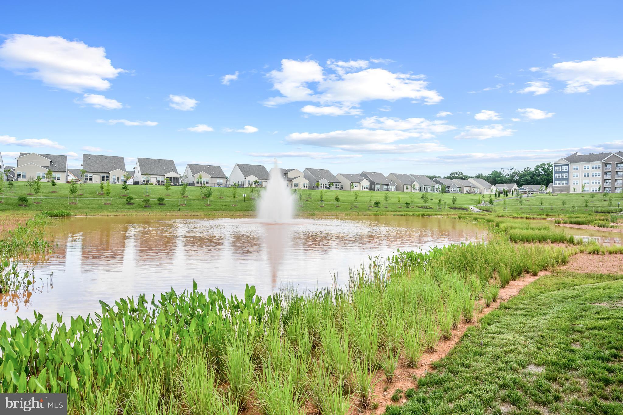 21894 Hawksbill High Circle, Unit 201 Sterling, VA 20164 - Photo 34 of 54 View of lake, plenty of walking trails!
