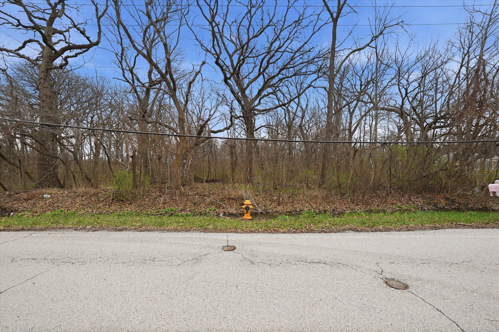 5525 West Heatherbrook Trail Monee, IL 60449 - Photo 15 of 20 a backyard of house with a yard and large trees